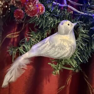 VTG Christmas Blown Glass Bird Ornament Clip On White Pearlescent Feathers